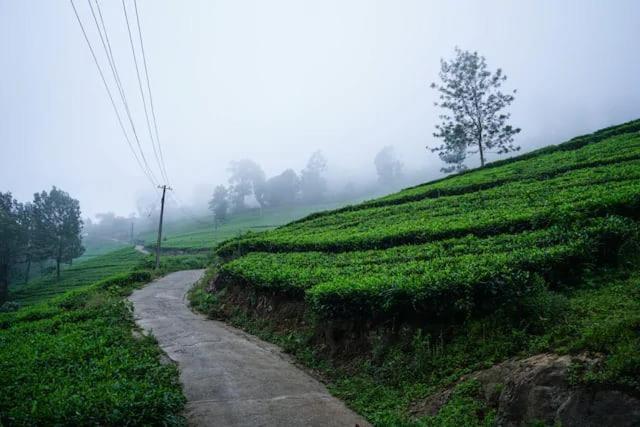 Lime Light Resort Munnar Buitenkant foto