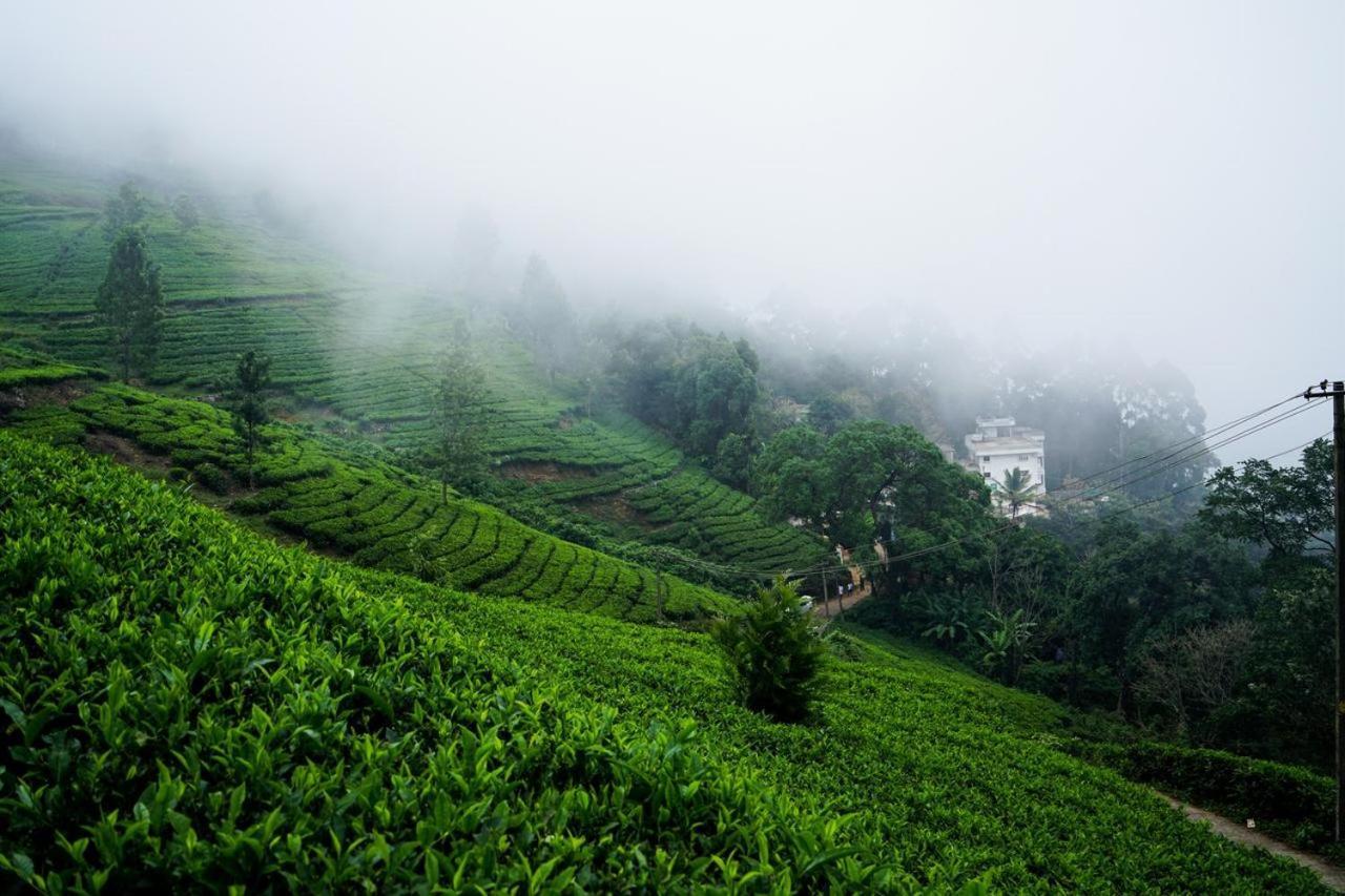Lime Light Resort Munnar Buitenkant foto